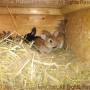 wea-2015-05-24_11-58-57_wm.jpg